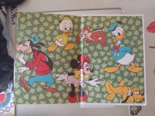Libro mini Disney