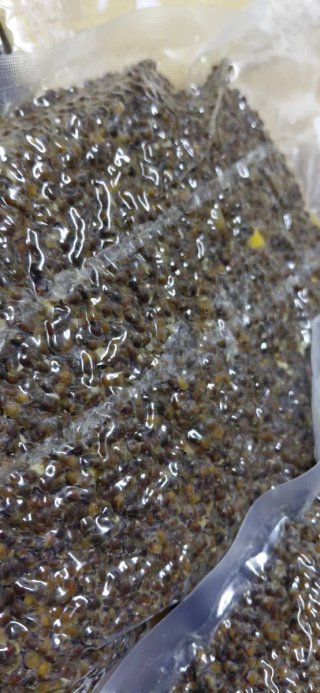 2 Bolsas Cebo Carpfishing