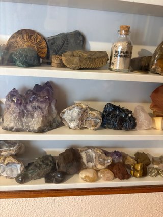 Collezione Varia di Minerali e Fossili