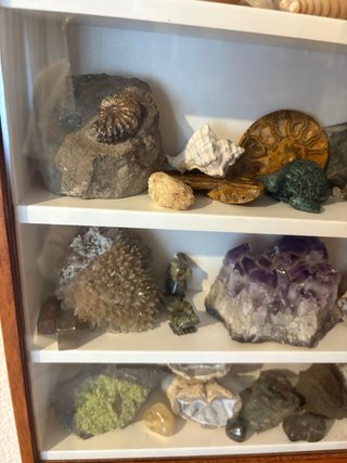 Collezione Varia di Minerali e Fossili
