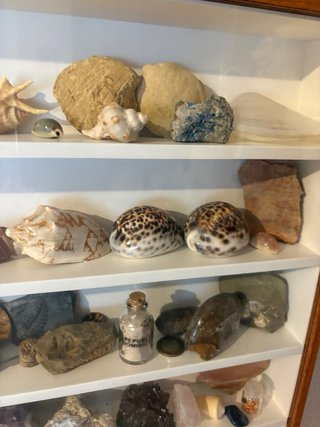 Collezione Varia di Minerali e Fossili