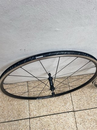 Ruedas DT Swiss Spline