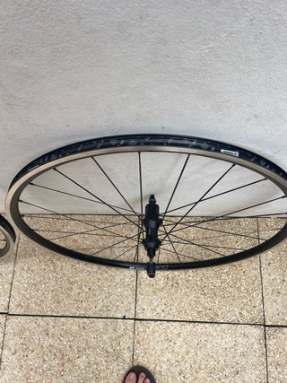 Ruedas DT Swiss Spline