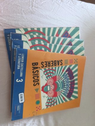ISBN 978-84-140-3781-2Lengua castellana y literat