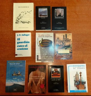 Lote de libros de lectura clásica y novelas