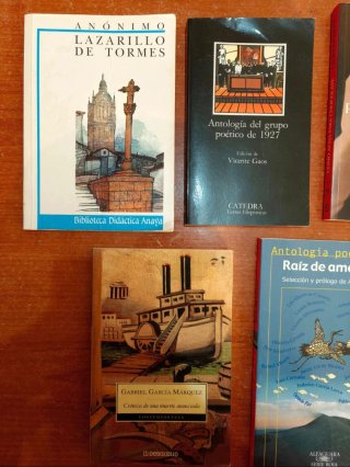Lote de libros de lectura clásica y novelas