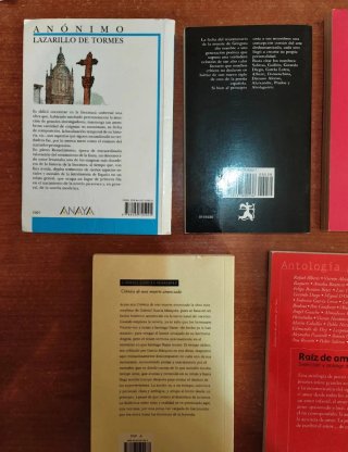 Lote de libros de lectura clásica y novelas