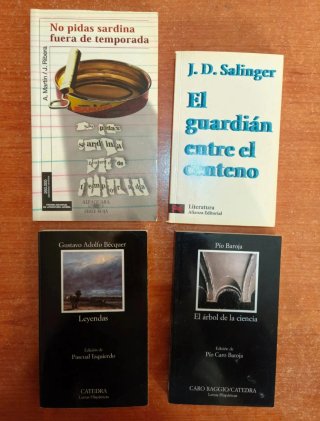 Lote de libros de lectura clásica y novelas