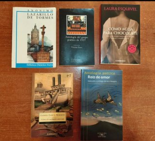 Lote de libros de lectura clásica y novelas
