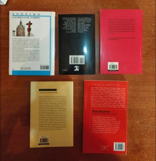 Lote de libros de lectura clásica y novelas