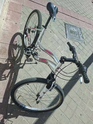 Bicicleta Rin 26