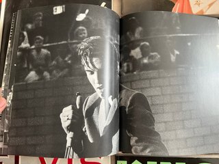 Lote 12 libros Elvis Presley en Inglés