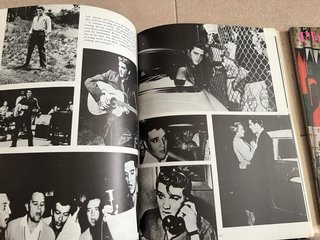 Lote 12 libros Elvis Presley en Inglés