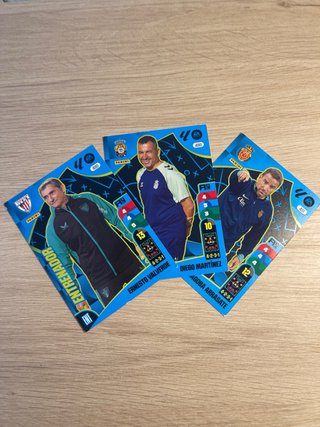 Lote cromos Adrenalyn XL 2024-25 panini