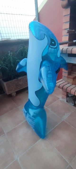 Colchoneta hinchable piscina