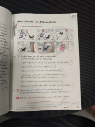 Sprachfreunde 2. Schuljahr. Sprachbuch mit Gram...