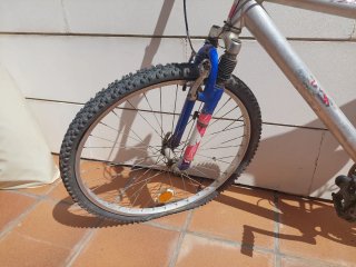 Bicicleta de montaña plateada