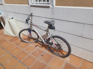 Bicicleta de montaña plateada