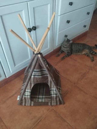 Casa tipi para mascotas
