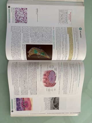 Biología 2º Bachillerato. Libro del estudiante....