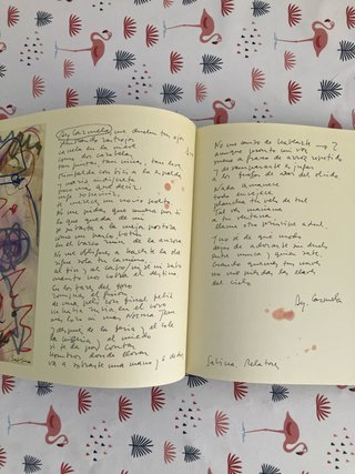 Libro Vinagre y Rosas - Joaquín Sabina