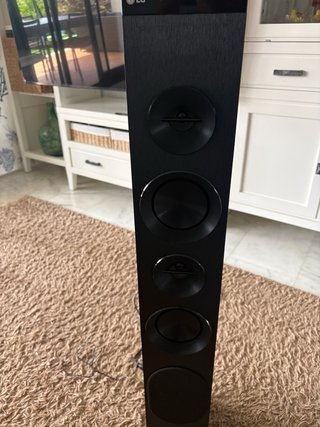 Torre de Sonido LG 100W para Reparar