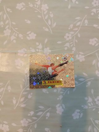 Cromo Panini Mundial 00