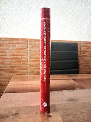 LUCHANDO EN TIERRAS DE FRANCIA. MIGUEL ÁNGEL SANZ