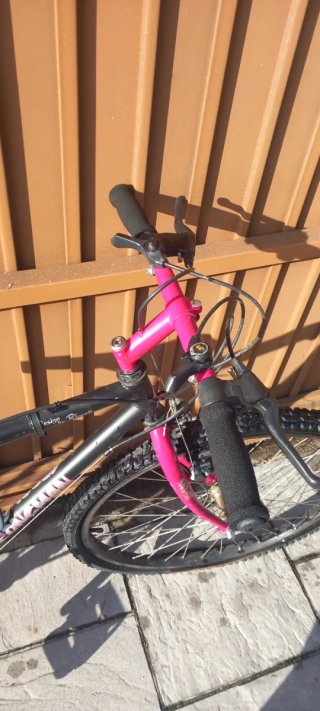 Bicicleta de montaña negra y rosa