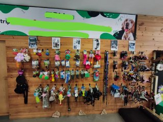 Peluches para Perros / Lote 4 Juguetes