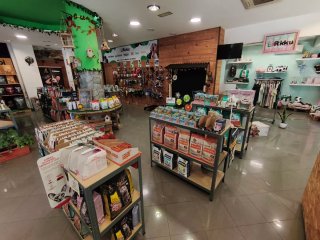 Peluches para Perros / Lote 4 Juguetes