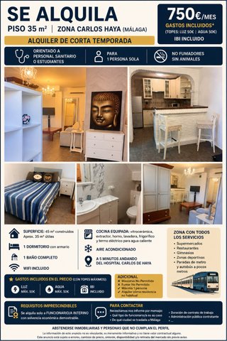 Alquiler loft zona Carlos Haya