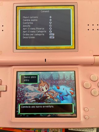 Pokemon Mystery Dungeon Esploratori del Cielo Nint