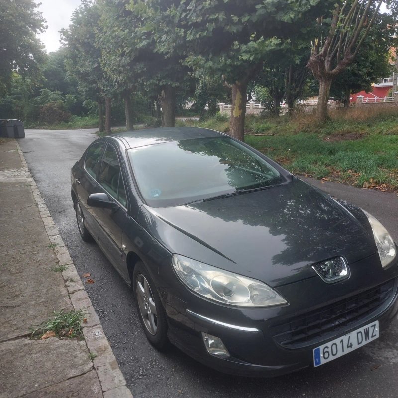 Peugeot 407 2007 - foto 1
