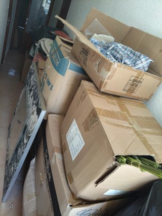 Lote de artículos de bazar