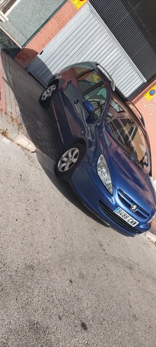 Peugeot 307 2003 - foto 1