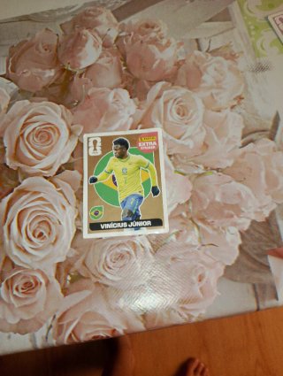 Carta Panini Vinícius Júnior Bronze Extra