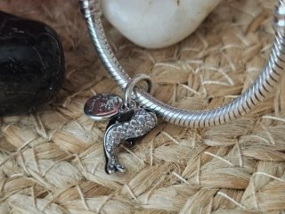 Charm Orca