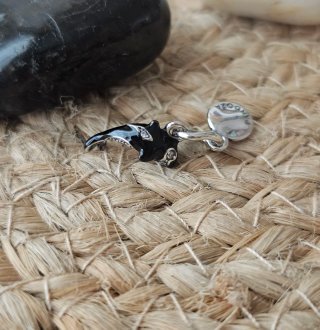 Charm Orca