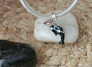 Charm Orca