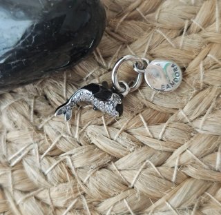 Charm Orca