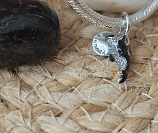 Charm Orca