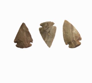 Colección Puntas Flecha y Fósiles Piedra