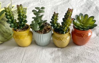 Plantas artificiales decorativas MUY REALISTAS!!