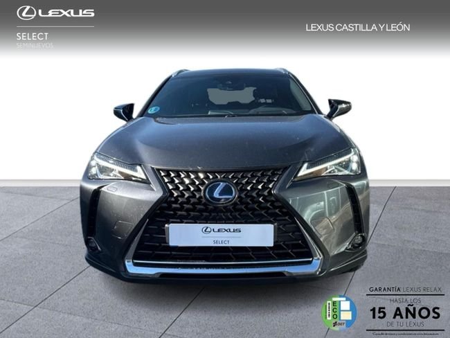Lexus UX 2022, foto 2