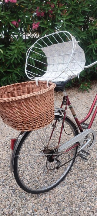 Cesta Mimbre Bicicleta Perro