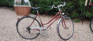 Cesta Mimbre Bicicleta Perro