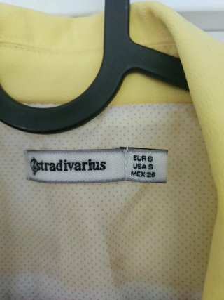 Americana amarilla Stradivarius T. S
