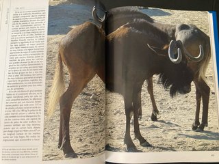 Colección Tierra Viva Animales del mundo