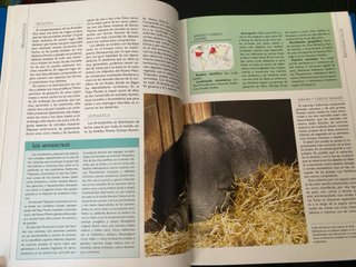 Colección Tierra Viva Animales del mundo